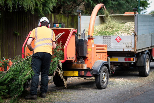 Best Emergency Tree Service  in Crystal City, MO